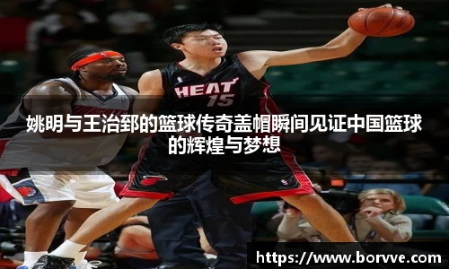 姚明与王治郅的篮球传奇盖帽瞬间见证中国篮球的辉煌与梦想